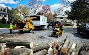  , NC Tree Care Pros